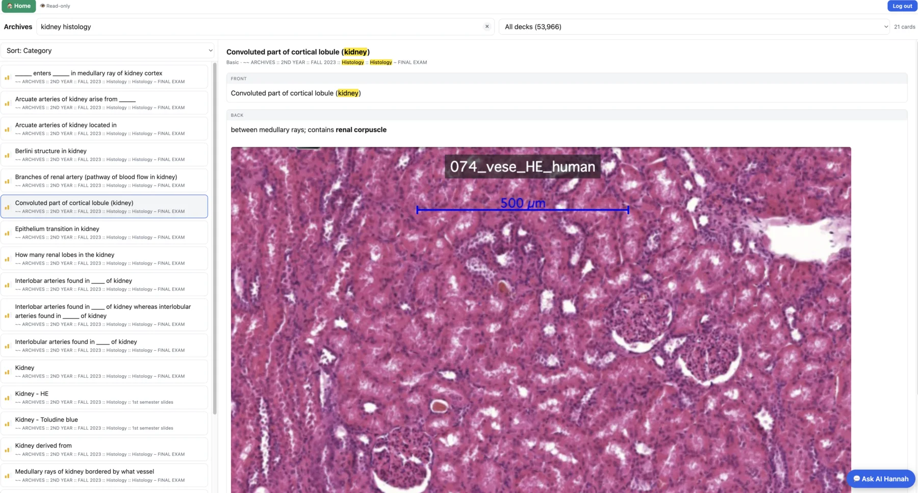 Study with Hannah kidney histology card with medical slide image